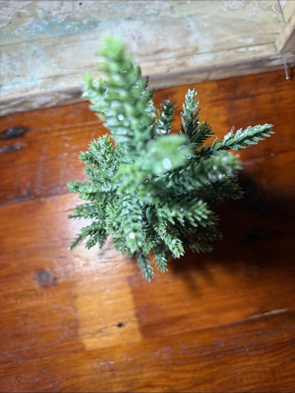 N/A small green